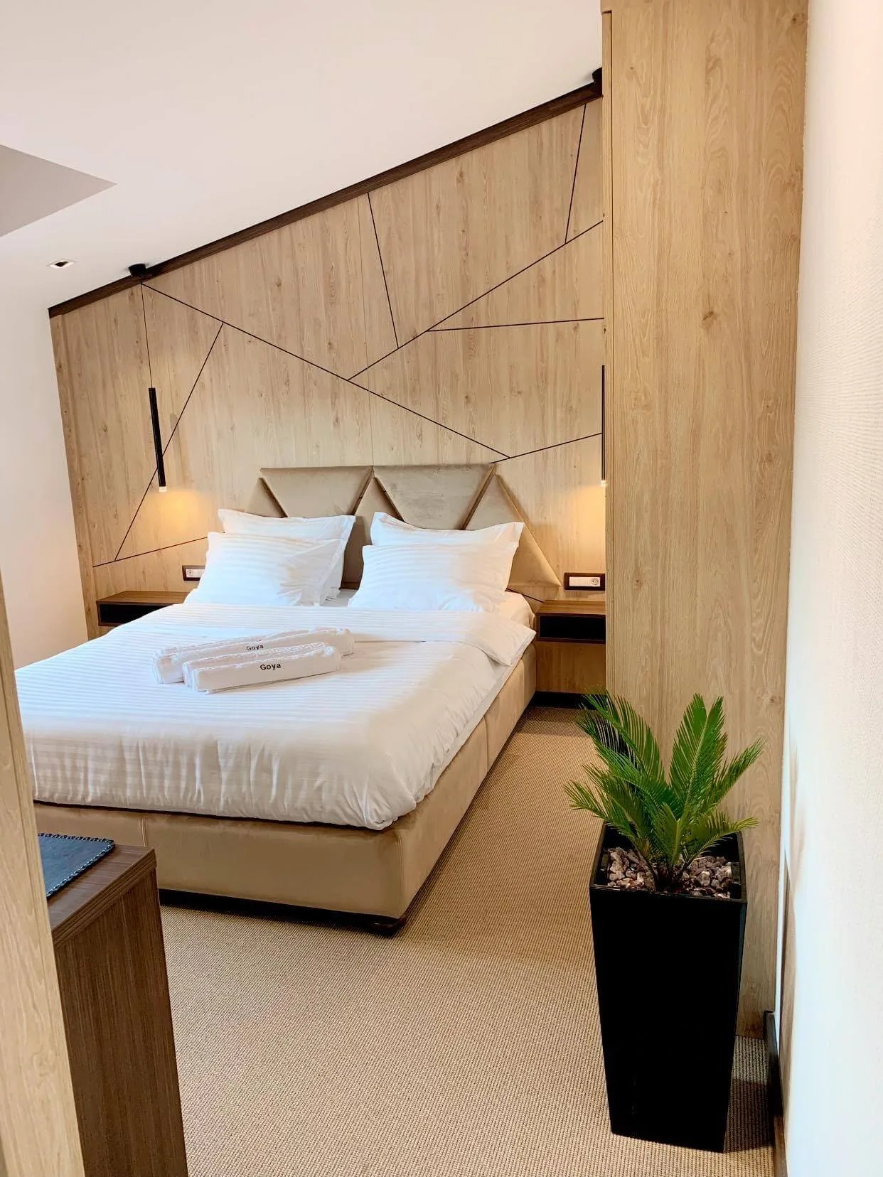 Deluxe Double Room — photograph 1